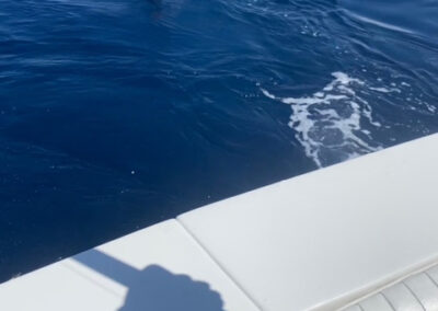 La Patrona fishermen catching a blue marlin in Mazatlan Mexico