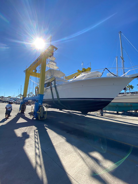 Fishing charters in mazatlan mexico