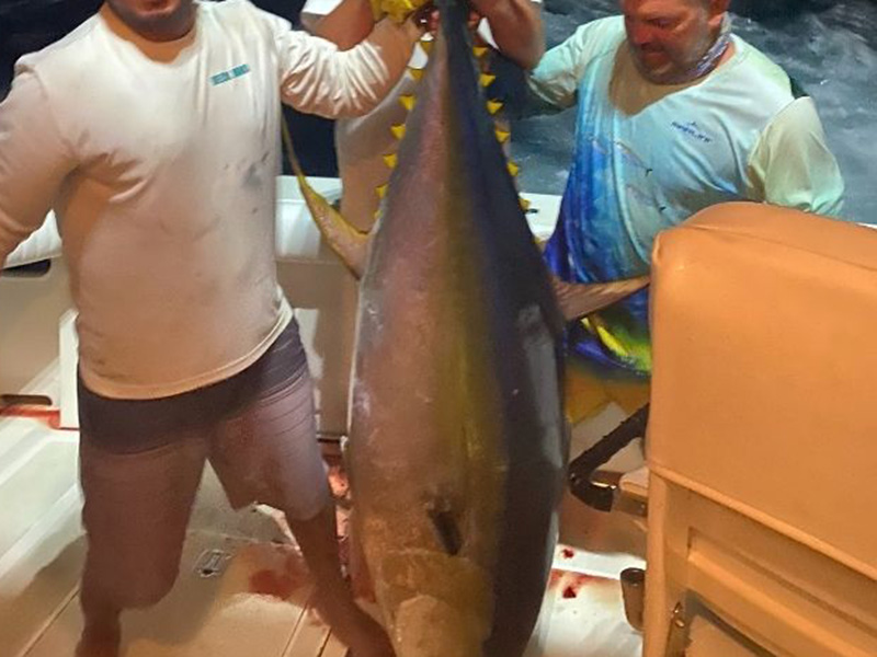 La Patrona Fisherman with yellowfin